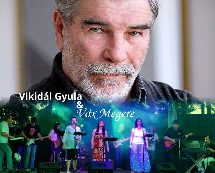 Vikidál Gyula és Vox Megere koncert - Megyeri Nyár