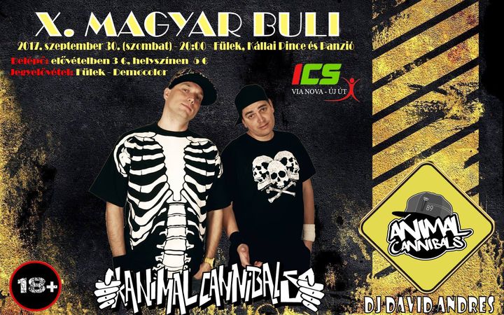 Az Animal Cannibals Füleken - X. Magyar Buli