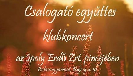 A Csalogató és a Hangraforgó együttes koncertje Balassagyarmaton