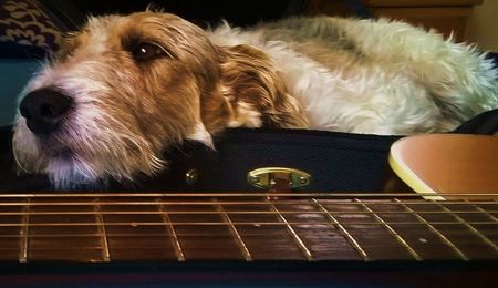 A két gitáros és a kutya koncert Párkányban