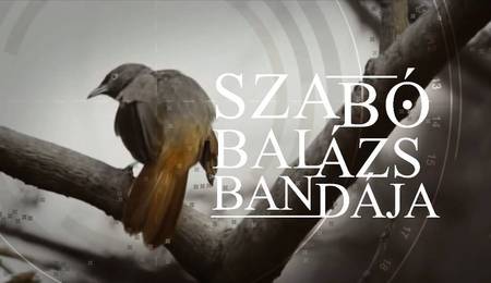 Szabó Balázs Bandája Győrben lép fel