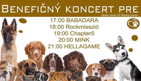 Jótékonysági koncert a kutyusokért Ipolyságon