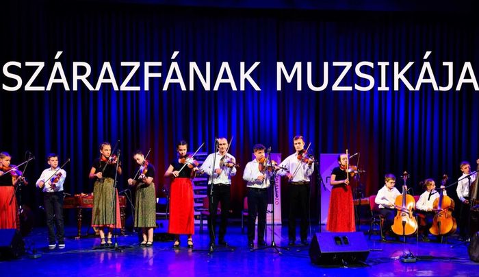 Szárazfának muzsikája - az Ördöngős népzenetanoda koncertje és táncháza Komáromban