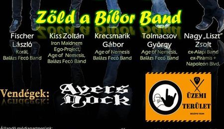 Zöld a Bíbor Band, Üzemi terület, Ayers Rock koncert Esztergomban