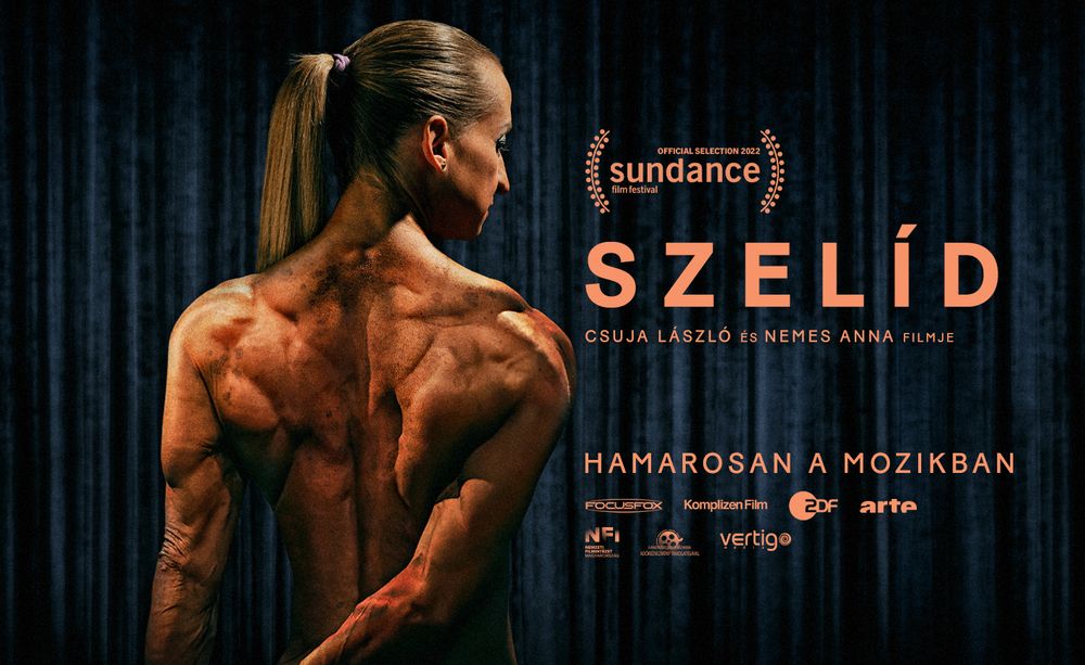 A Szelíd az első magyar mozifilm, amely bekerült az amerikai Sundance Filmfesztivál versenyprogramjába