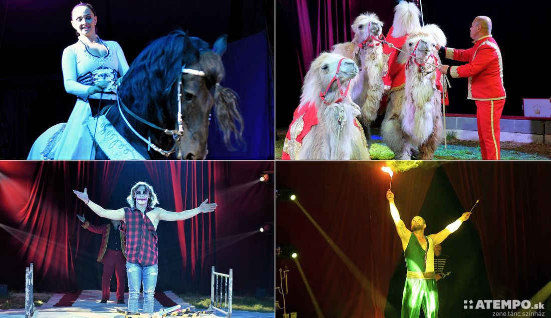 PorondMester: Érkezik a Lánik Cirkusz! – Szeretnél ingyen páros belépőjegyet Komáromba? (FOTÓK)